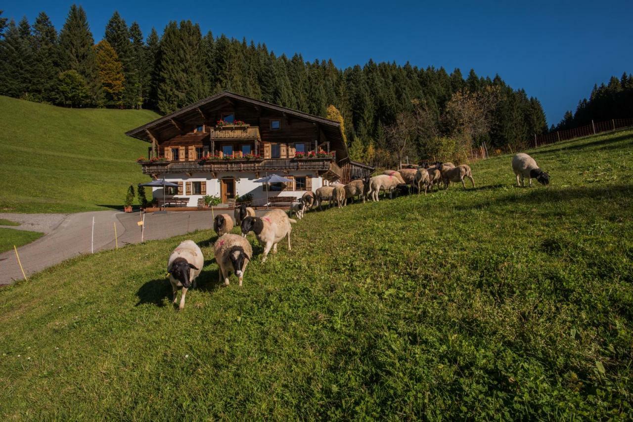 Bauernhof Muehltalhof Lejlighed Ellmau Eksteriør billede